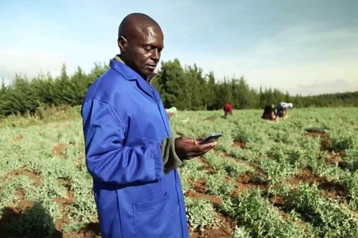 A farmer using their phone to transact
