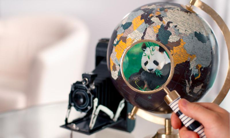 Panda Bond