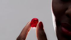 The world’s largest ruby discovered in Mozambique just sold for a record price