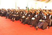 A group of lawyers during admission to the bar