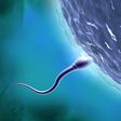 The male contraceptive pill is in the early stages of development.Matthias Kulka/Getty Images
