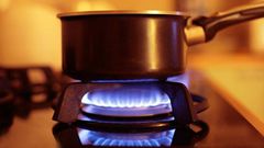 A cooker using LPG gas