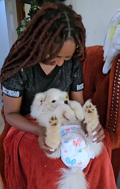 A screengrab of Zora actress Brenda Mitchell detailing how to diaper and comfort a dog who is menstruating
