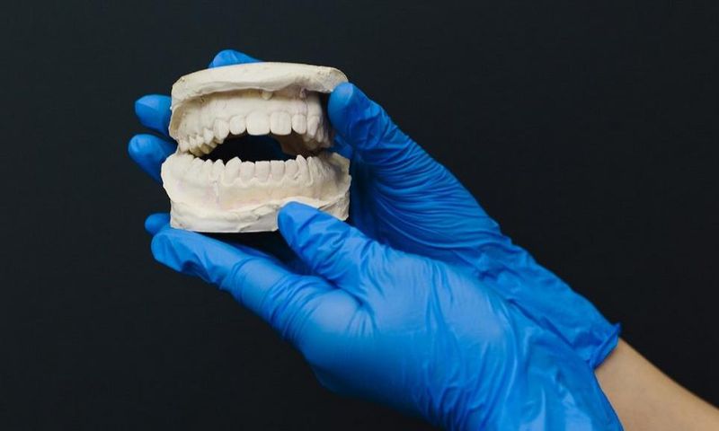 A person with latex gloves holding a dental cast [Photo: Polina Zimmerman]