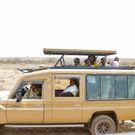 Ruto’s mother, Mama Sarah Cheruiyot bonds with family during tour of Nairobi National Park
