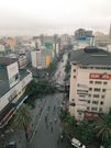 Huge tree falls in Nairobi CBD & blocks entire width of Moi Avenue