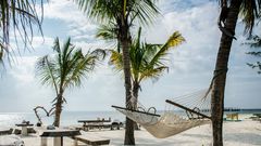 Le Zanzibar, petit paradis sur Terre à visiter en fin d'année / Ákos Helgert