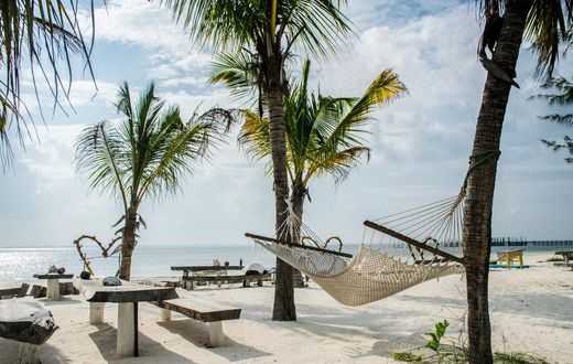 Le Zanzibar, petit paradis sur Terre à visiter en fin d'année / Ákos Helgert