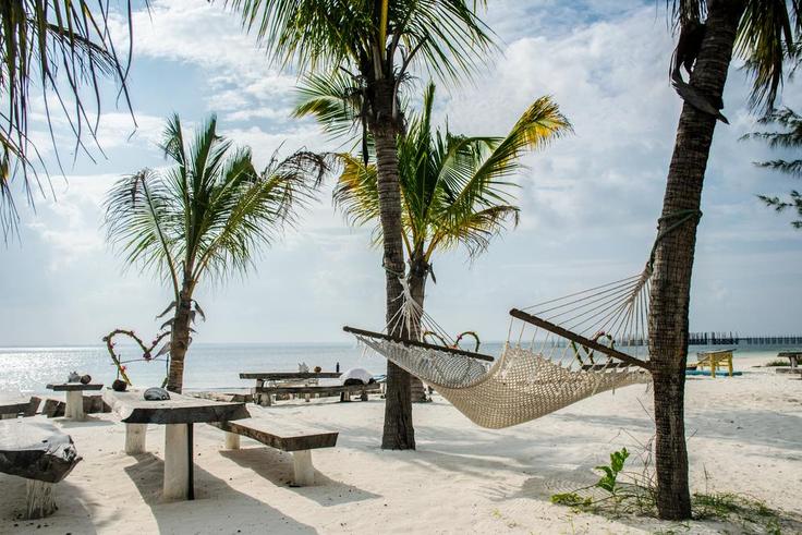 Le Zanzibar, petit paradis sur Terre à visiter en fin d'année / Ákos Helgert