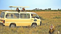 Tourists using a safari vehicle