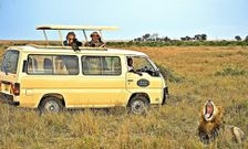 Tourists using a safari vehicle
