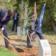 President William Ruto planting a tree at The Grove of Nations in Jerusalem Forest, Israel on May 9, 2023.
