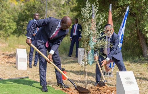 President William Ruto planting a tree at The Grove of Nations in Jerusalem Forest, Israel on May 9, 2023.