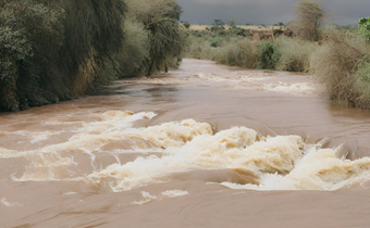 A photo of a swollen river