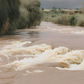 A photo of a swollen river