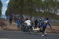 Kenyatta family's Northlands farm invaded by unknown people