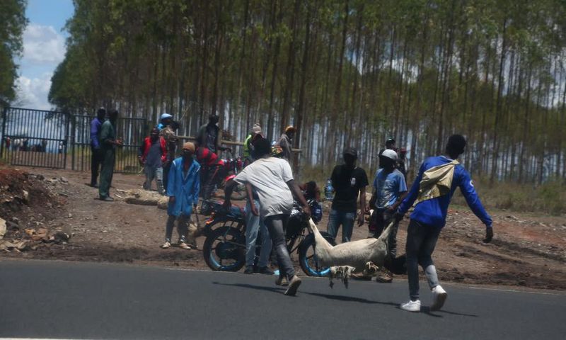 Kenyatta family's Northlands farm invaded by unknown people