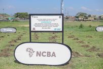 NCBA and Baboon Project Kenya team up to plant 10,000 trees in Nakuru County for World Environment Day