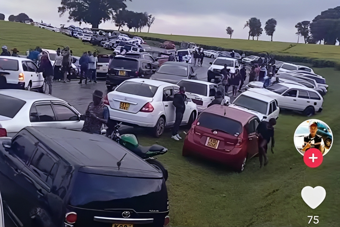 Park and chill hangout