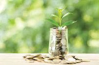 Sacco savings