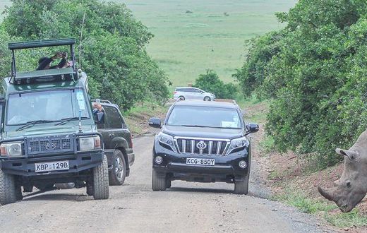 Tourists at Nairobi National Park