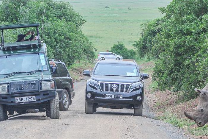 Tourists at Nairobi National Park