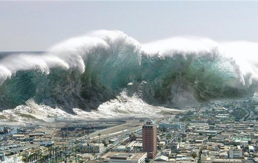Indian Tsunami and earthquake [animalialife]