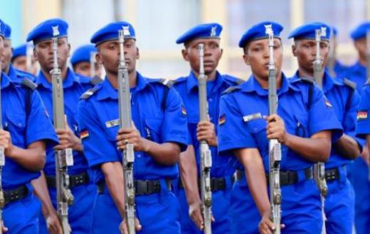 National Police Service of Kenya