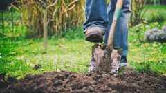 Photo of a person digging their grave