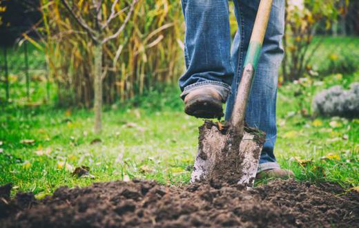 Photo of a person digging their grave