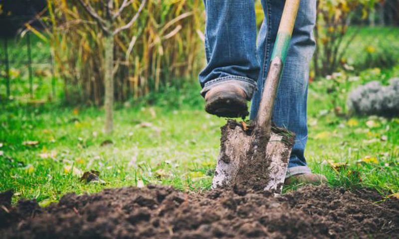 Photo of a person digging their grave