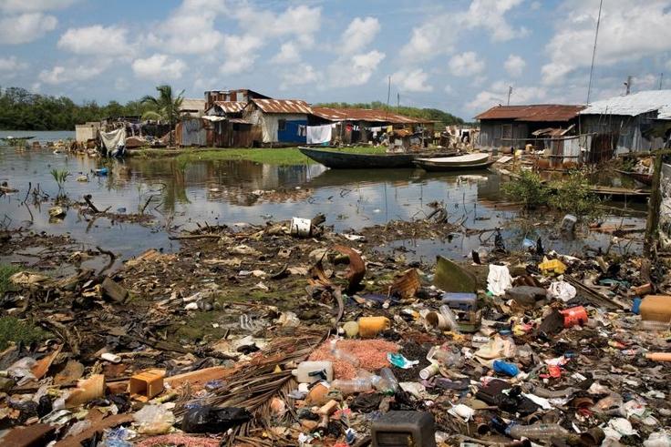 Environmental degradation