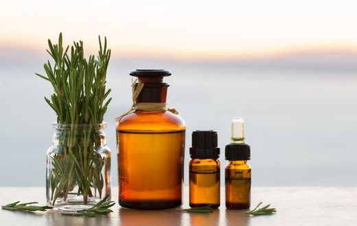 Rosemary for hair growth
