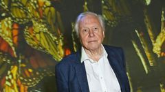Sir David Attenborough, 97, at the premiere of his BBC documentary, "Planet Earth III," in October.Dave Benett/Getty Images