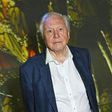 Sir David Attenborough, 97, at the premiere of his BBC documentary, "Planet Earth III," in October.Dave Benett/Getty Images