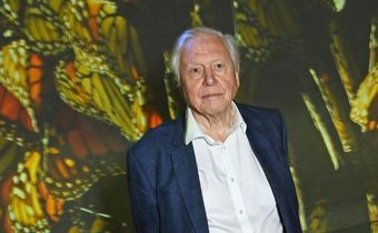 Sir David Attenborough, 97, at the premiere of his BBC documentary, "Planet Earth III," in October.Dave Benett/Getty Images