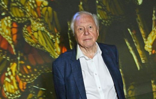 Sir David Attenborough, 97, at the premiere of his BBC documentary, "Planet Earth III," in October.Dave Benett/Getty Images