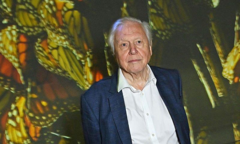 Sir David Attenborough, 97, at the premiere of his BBC documentary, "Planet Earth III," in October.Dave Benett/Getty Images