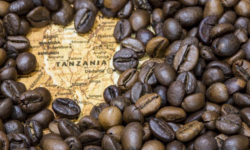 See the record-breaking amount Tanzania made in its coffee export since its independence