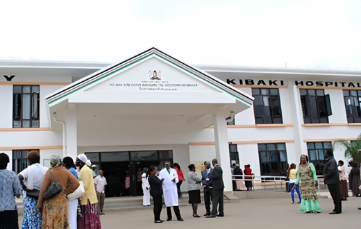 Mama Lucy Kibaki Hospital