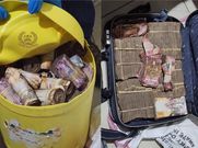 A collage of the money recovered by DCI