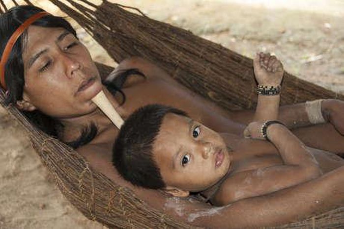 Paternity fraud doesn't exist in the Amazon [survivalintenational]