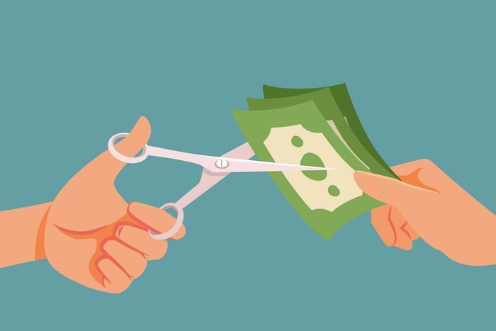 CEOs of startups are taking a pay cut this year due to a slump in venture capital funding.nicoletaionescu/Getty Images