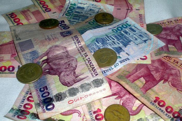 Tanzanian shillings