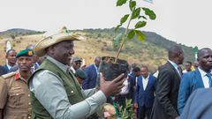 President William Ruto preparing to plant a tree in Ngong forest during the launch of the National Program for Accelerated Forestry and Rangelands restoration on December 21, 2022.