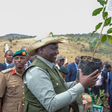 President William Ruto preparing to plant a tree in Ngong forest during the launch of the National Program for Accelerated Forestry and Rangelands restoration on December 21, 2022.