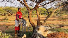 Kenya Wildlife Service officers rescue orphaned foal