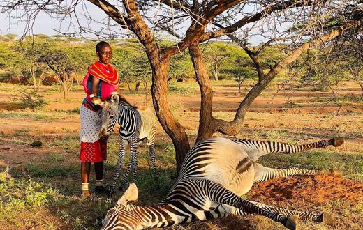 Kenya Wildlife Service officers rescue orphaned foal