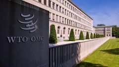 Top 10 African countries that contributed the most money to the WTO’s 2023 annual budget