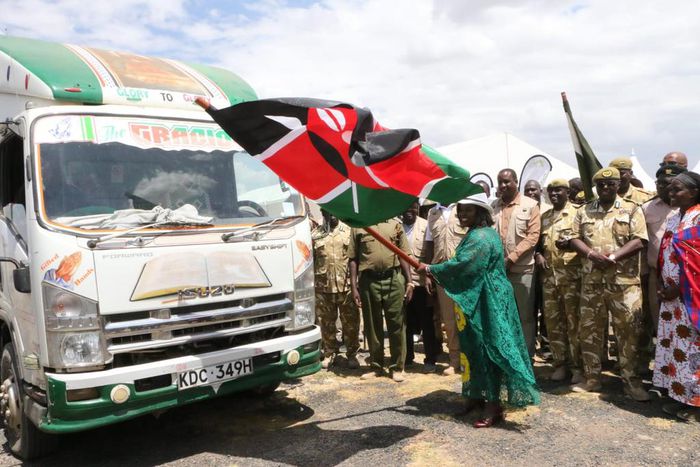 CS for tourism Wildlife and Heritage Peninah Malonza flagging off stacks of hay that will be distributed to wildlife in the Amboseli Park
